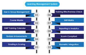 Learning Management System